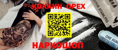 крисы Кулебаки