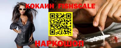 крисы Кулебаки