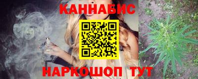 крисы Кулебаки
