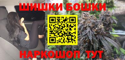 крисы Кулебаки