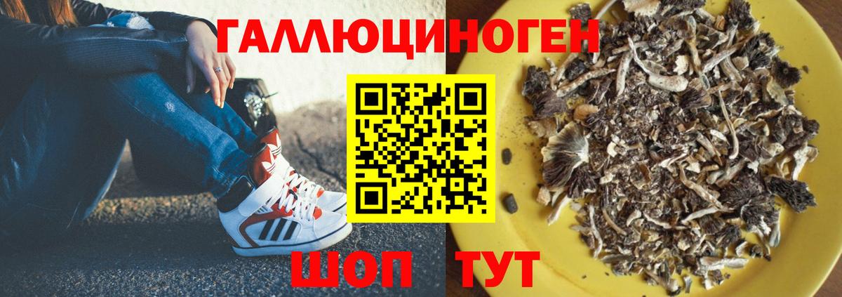 Галлюциногенные грибы ЛСД  где продают   Псилоцибиновые грибы прущие грибы  Уварово  Вход с VPN 