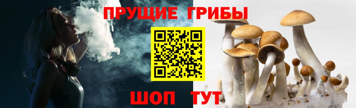 Галлюциногенные грибы ЛСД Уварово